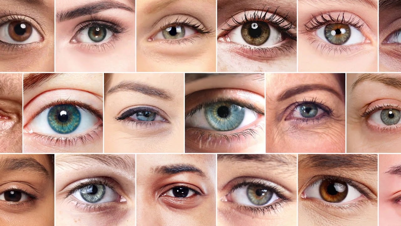 Contact lens firms line up for 100 Optical ABDO